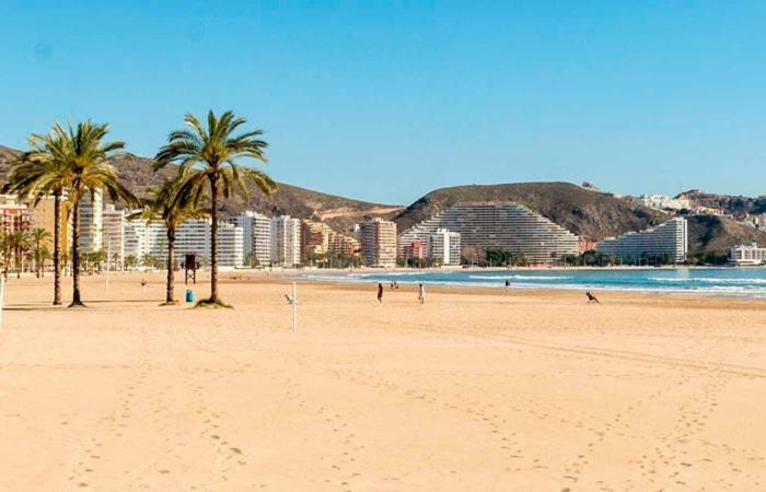 Ensueno En Playa San Antonio * Cullera